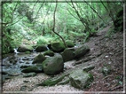 foto Lago del Corlo